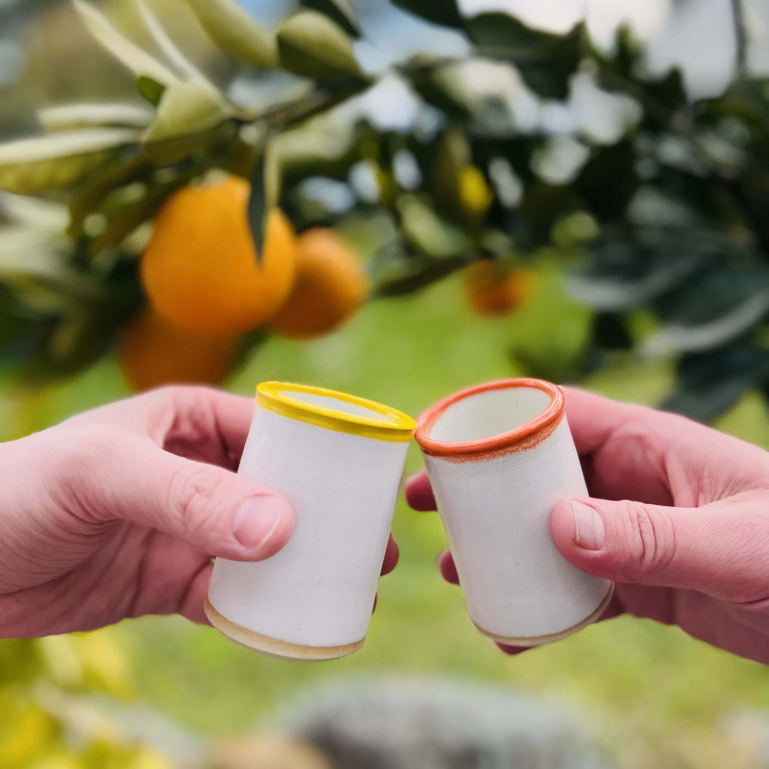 Verres a liqueurs BroCello scaled