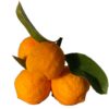 RossoCello 35cl - Liqueur de citron rouge – Image 4